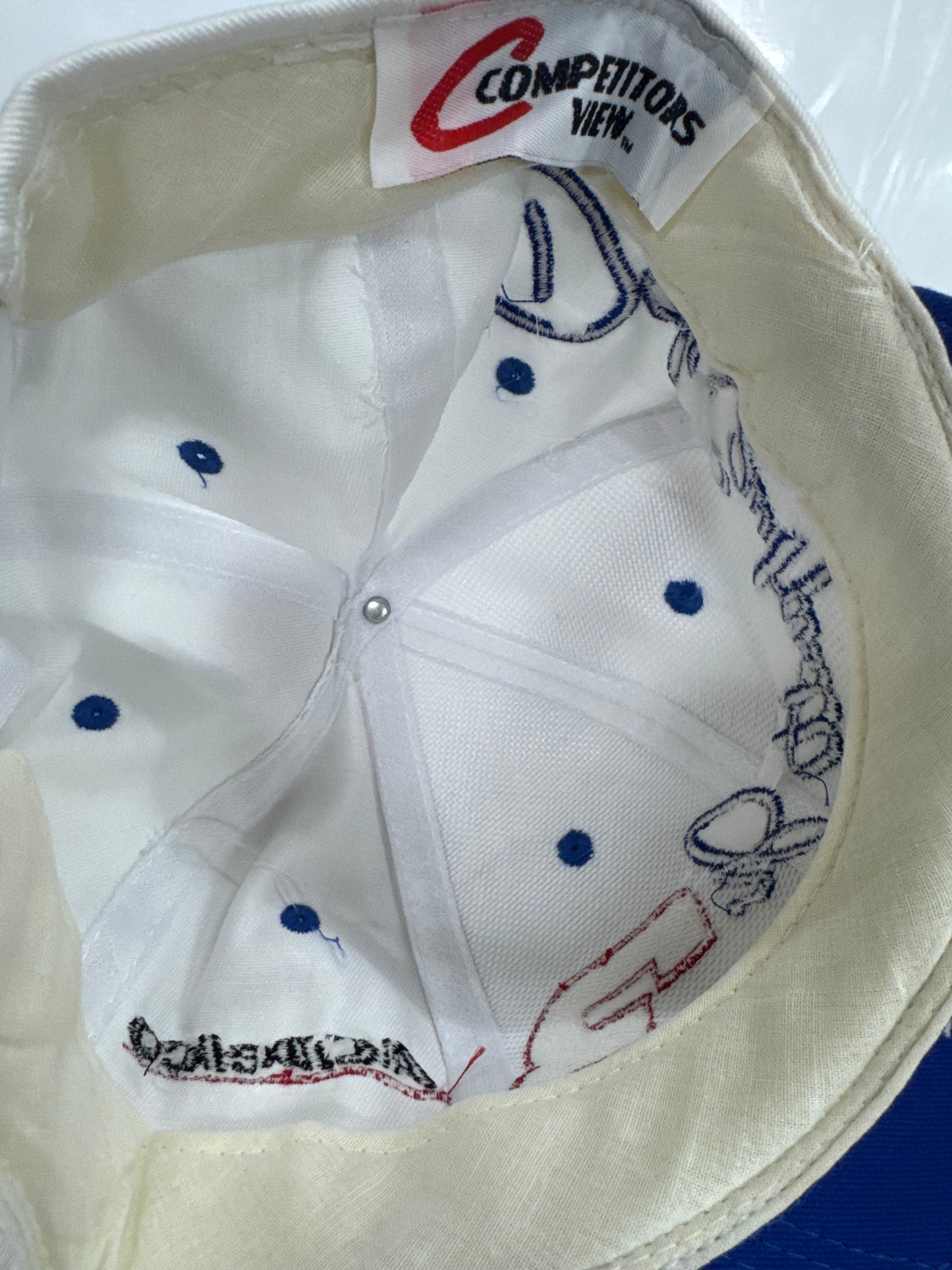 Dale Earnhardt Jr 1999 Vintage Nascar Hat [With Tags]