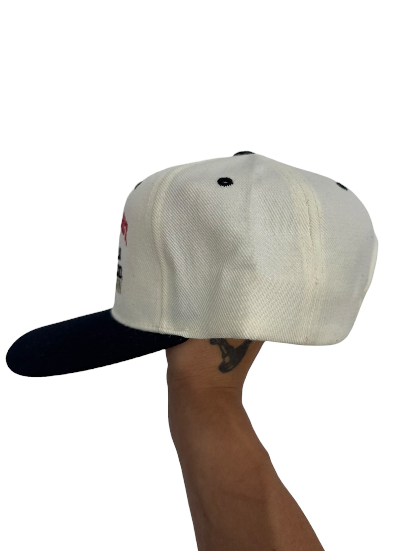 Dale Earnhardt Sr 1998 Vintage Daytona 500 Champion Nascar Hat